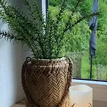 Schwarzwaldliebe * Schönwalde