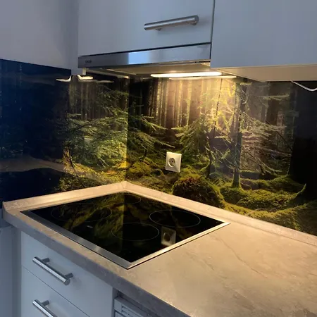 Schwarzwaldliebe Apartmán